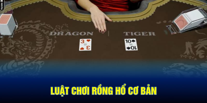 Luật Chơi Rồng Hổ Cơ Bản