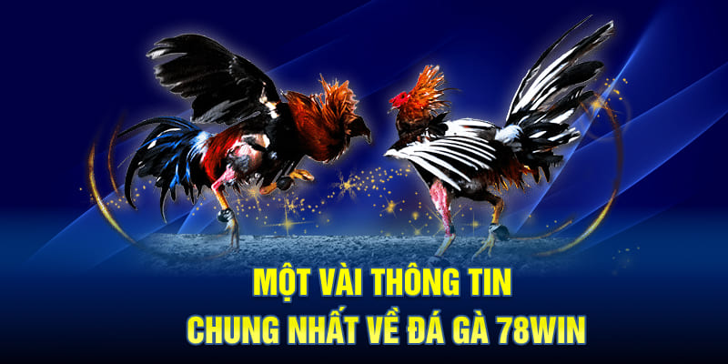 Một vài thông tin chung nhất về đá gà 78WIN